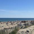 Poznato odmarali&scaron;te preplavili nudisti koji se seksaju na pla&zcaron;i. Gosti ogor&ccaron;eni: Sve ignoriraju!
