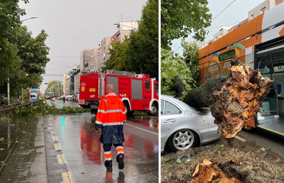 VIDEO Kaos u Maksimirskoj ulici zbog nevremena, oluja je trgala stabla i zaustavila promet