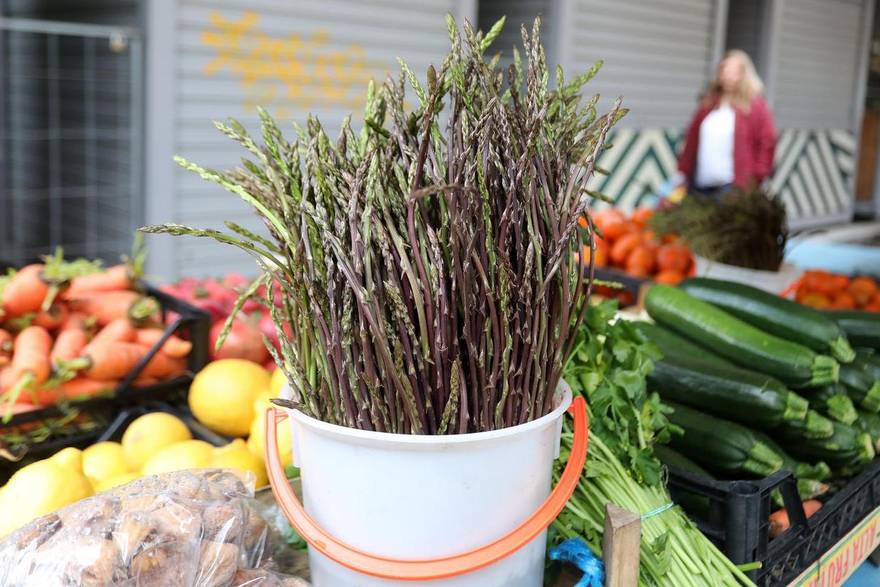 Vodi&ccaron; za lov na divlje &scaron;paroge: Pazite, kazne za nepropisnu berbu idu do 900 eura