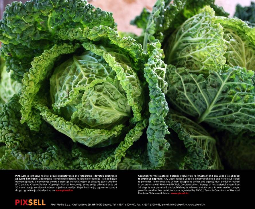 Borna Filić/PIXSELL