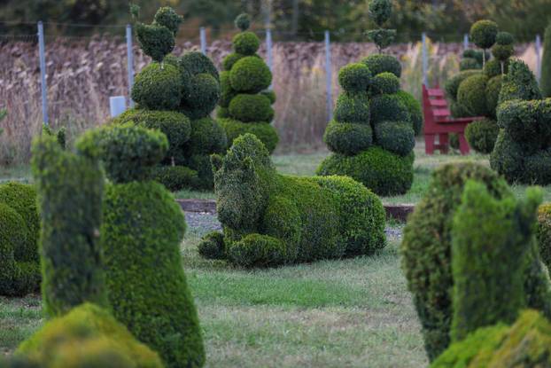 Bajkoviti vrt u srcu Međimurja: Prvi i jedini Topiary park u Hrvatskoj krije se u Sračincu