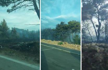 VIDEO Strašni prizori na Zrću nakon požara, izgorjela šuma: 'Bože, ovo je kao grad duhova'