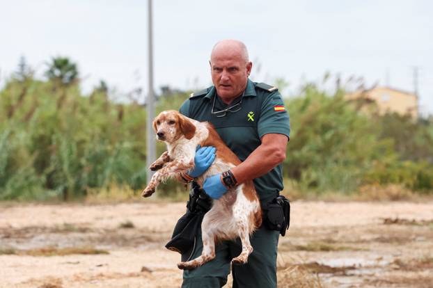 Aftermath of torrential rains, which caused floods in eastern Spain, in Oliva