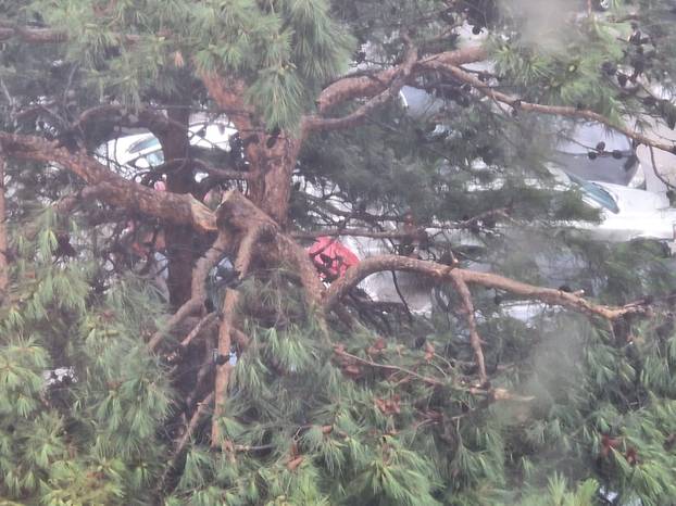 FOTO Split kao nakon tornada! Ovo je prognoza za danas: Za tri regije upalili alarm zbog oluje