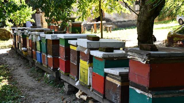 Šokantno priznanje: Zabranjene pesticide koji ubijaju pčele lako švercamo iz BiH. Jeftiniji su...