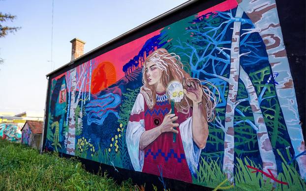 FOTO Grad pretvoren u galeriju: Pogledajte predivne murale na kućama i zgradama u Čačku