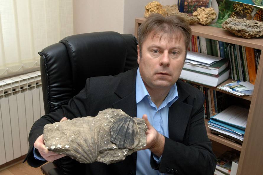 Fosili zivotinja Panonskog mora u Pozegi