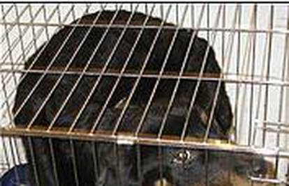 Psa je dvije godine držao u kavezu i ormaru bez hrane