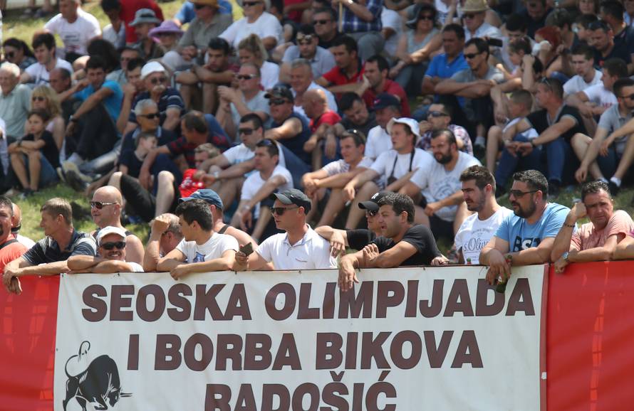 Pobjednik Medo pobjegao preko ograde, ljudi su bježali od njega