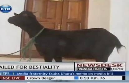Pozvali su je kao svjedoka: Na suđenje u Keniji doveli - kozu