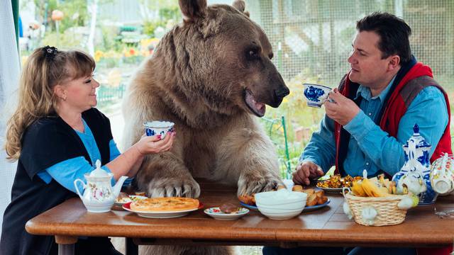 Bear living with family