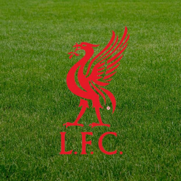 FOTO Još jedan velikan odlučio se za promjenu na grbu. Da je primijetite, morate se potruditi