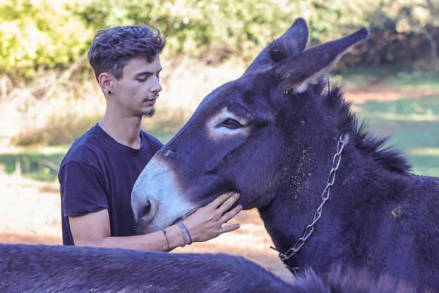 Vodnjan: Za Naj kozu 2025. godine izabrana je koza Jelena, vlasnika Mattea Muškovića 