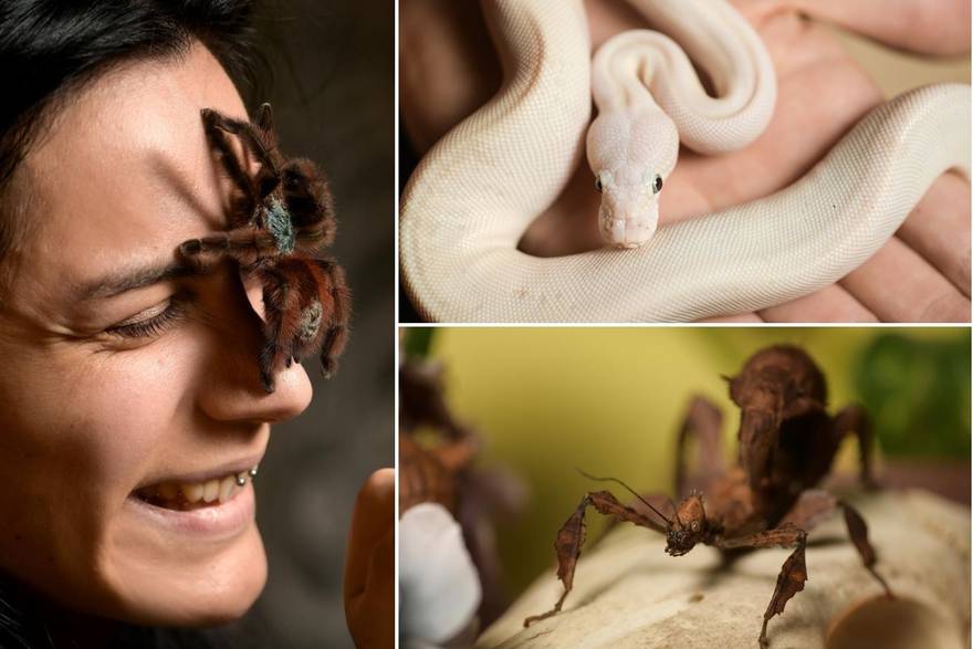 Iva proučava zmije, pauke, gmazove: 'Nemam straha od njih' | MOJA PRIČA