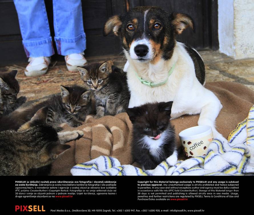 Marijan Sušenj/PIXSELL