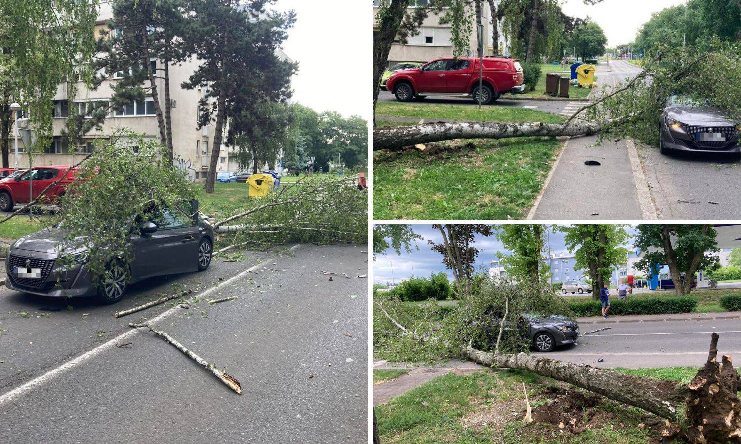 Vjetar ruši stabla u Zagrebu: 'Palo mi je pred očima, moglo je i na mene. Vozač auta je dobro'