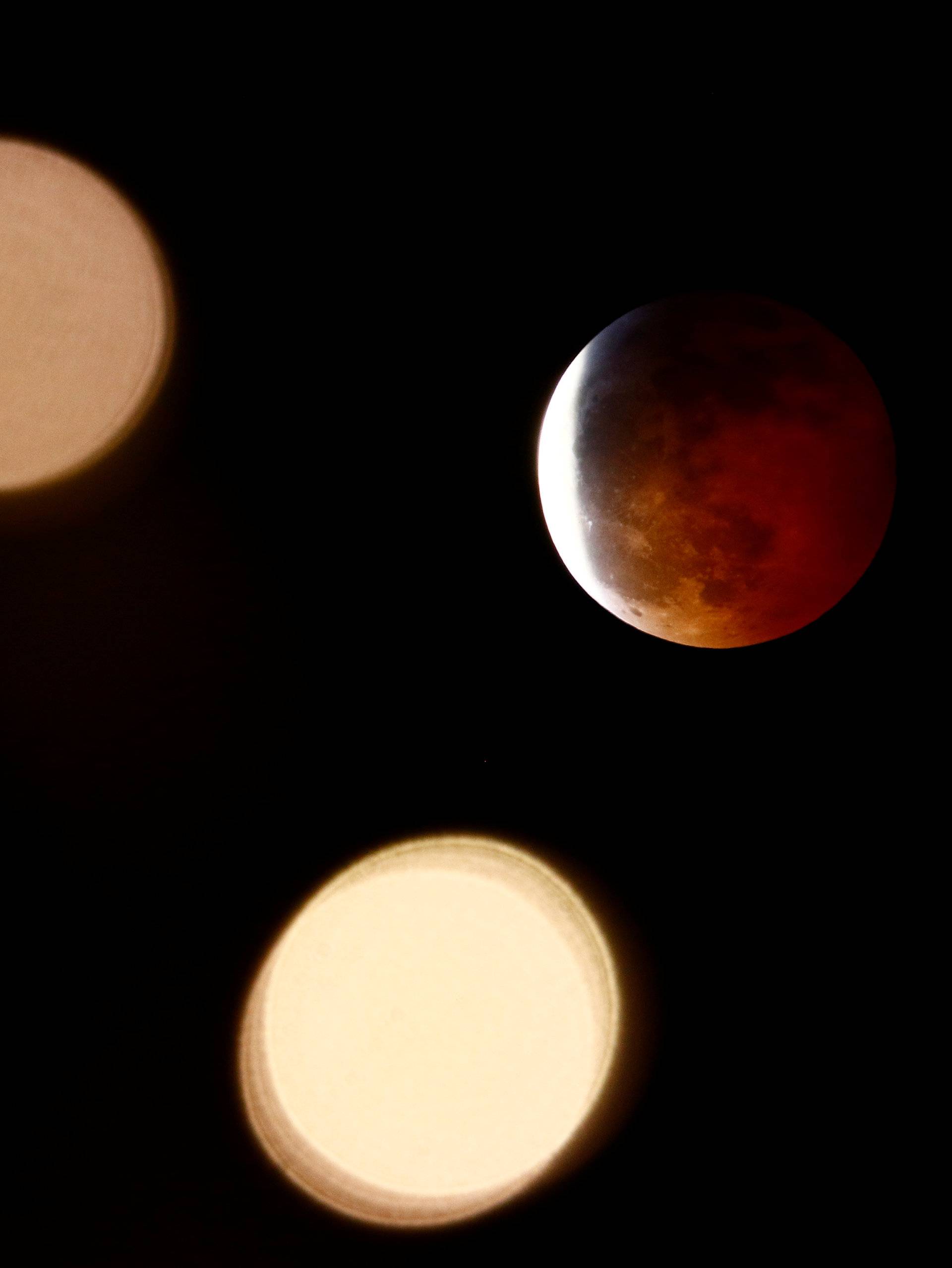 Decorative lights on trees mimic the moon's shape during a lunar eclipse viewed in Seattle