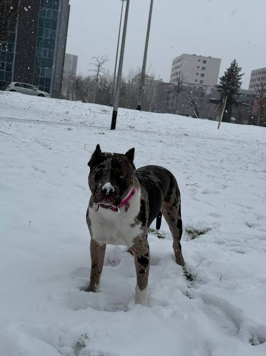 Općinska komunalka sama 'izlopatala' snijeg sa staze: 'Nema nikakve drame u tome'