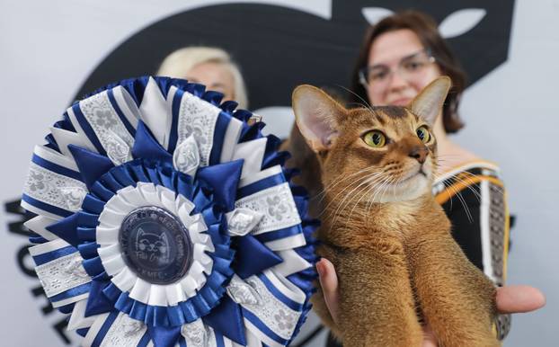 FOTO Otvorena Svjetska izložba mačaka u zagrebačkom Family Mallu! Traje i tijekom nedjelje