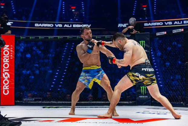 FOTO FNC ljepotice su zavladale Münchenom: Meri Goldašić, Valentina Miletić, ring djevojke