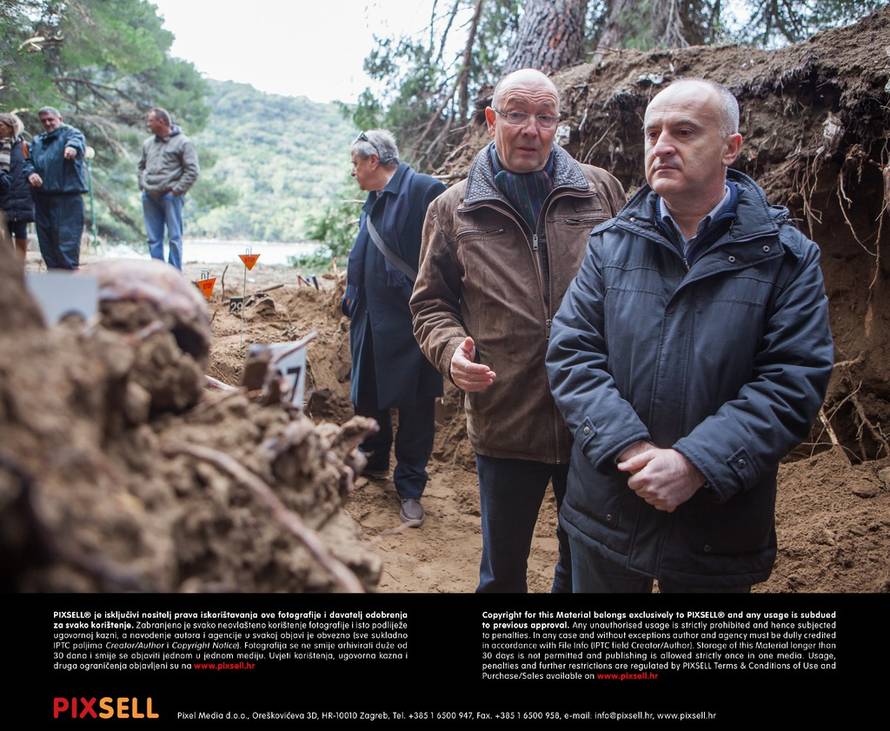 Grgo Jelavić/PIXSELL