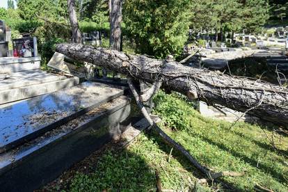 Zagreb: Olujno nevrijeme poharalo Mirogoj, stabala padala po grobovima 