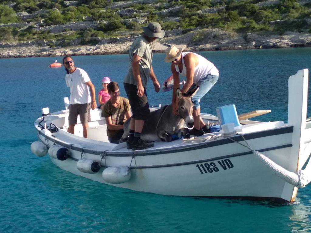 'Magarica Mija je super. Ali  ide kući, javio se njezin vlasnik...'