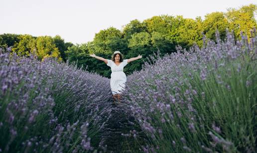 Ne, ovo nije Provansa. Ovo su divna polja lavande kod Kutine!