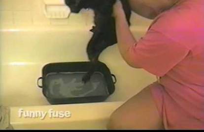 Video: Mačka progovorila od silnoga straha što mora u kadu