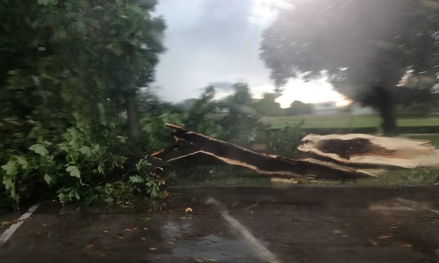 Oluja u Hrvatskoj čupala stabla i poplavila ulice, bilo je i tuče...