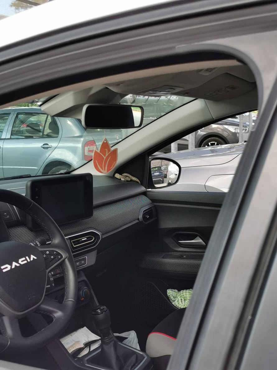 Nevjerojatna scena iz Buja: Vraćao se iz trgovine i našao poskoka kako se sunča u autu