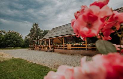 Kad ljeto zamiriše na roštilj: Vukovarska Kuća nezaobilazna je destinacija za ljubitelje hrane