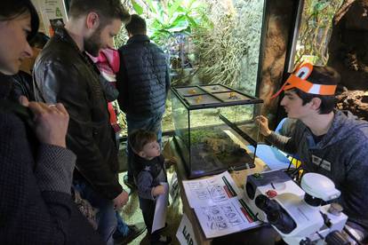 Vidjeli i najotrovniju žabu: Svi vole žabovanje u ZOO vrtu...