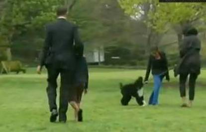 Obamin psić Bo protrčao je travnjakom Bijele Kuće