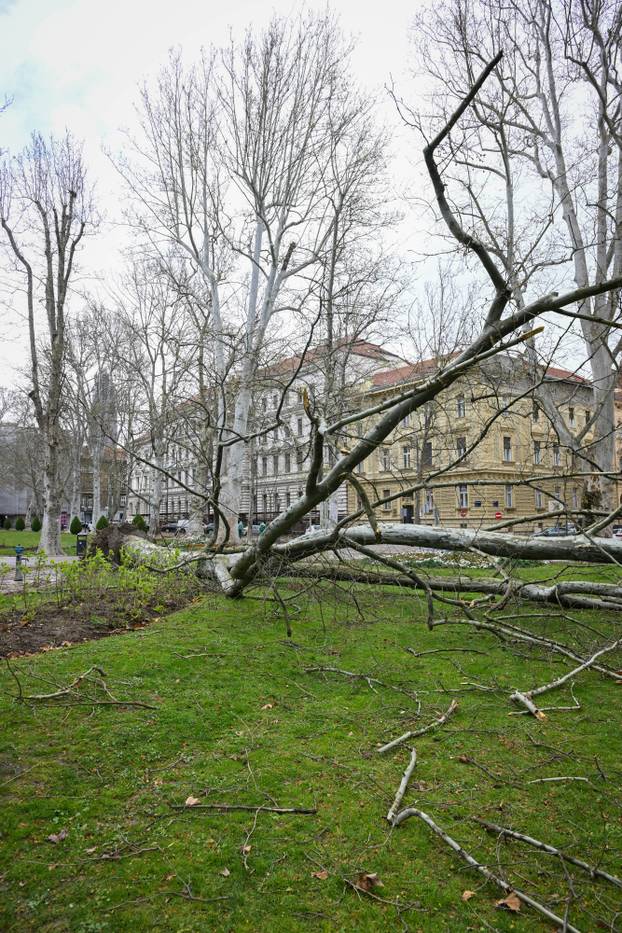 Zagreb: Posljedice nevremena na Zrinjevcu