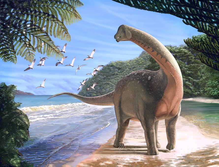 Artist's life reconstruction of the titanosaurian dinosaur Mansourasaurus shahinae on a coastline in what is now the Western Desert of Egypt approximately 80 million years ago is pictured in this handout image