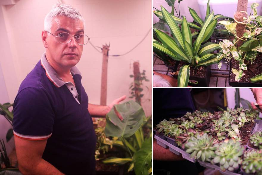 Sergej je pokrenuo SPAs projekt za oporavak bolesnih biljaka: ‘Tu su i po par mjeseci'