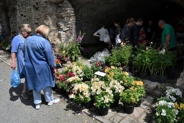 Slavonski Brod: Sajam cvijeća, sadnica, presadnica i cvijetnih dekoracija - Florafest 2026.