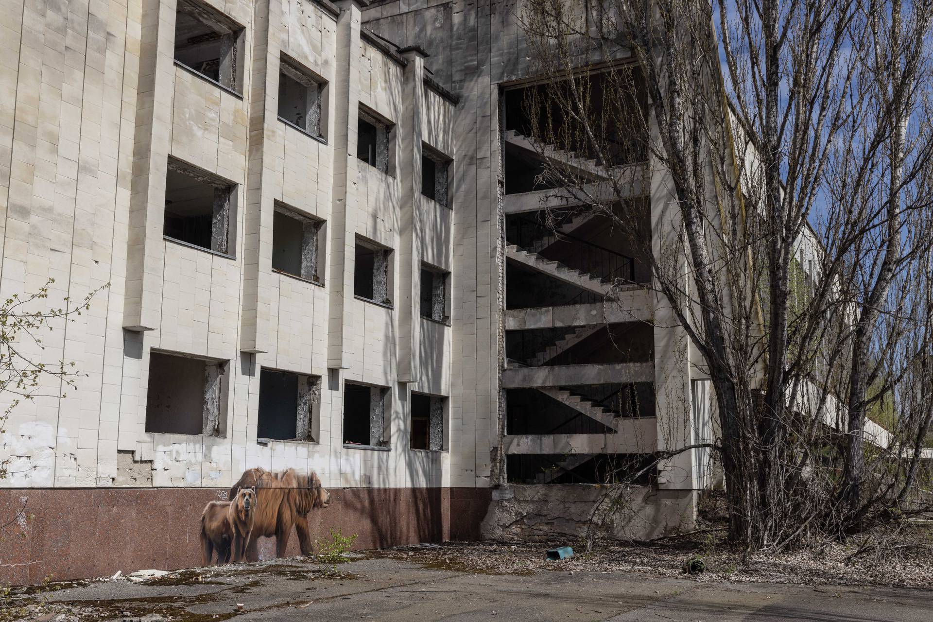 Chernobyl nuclear power plant