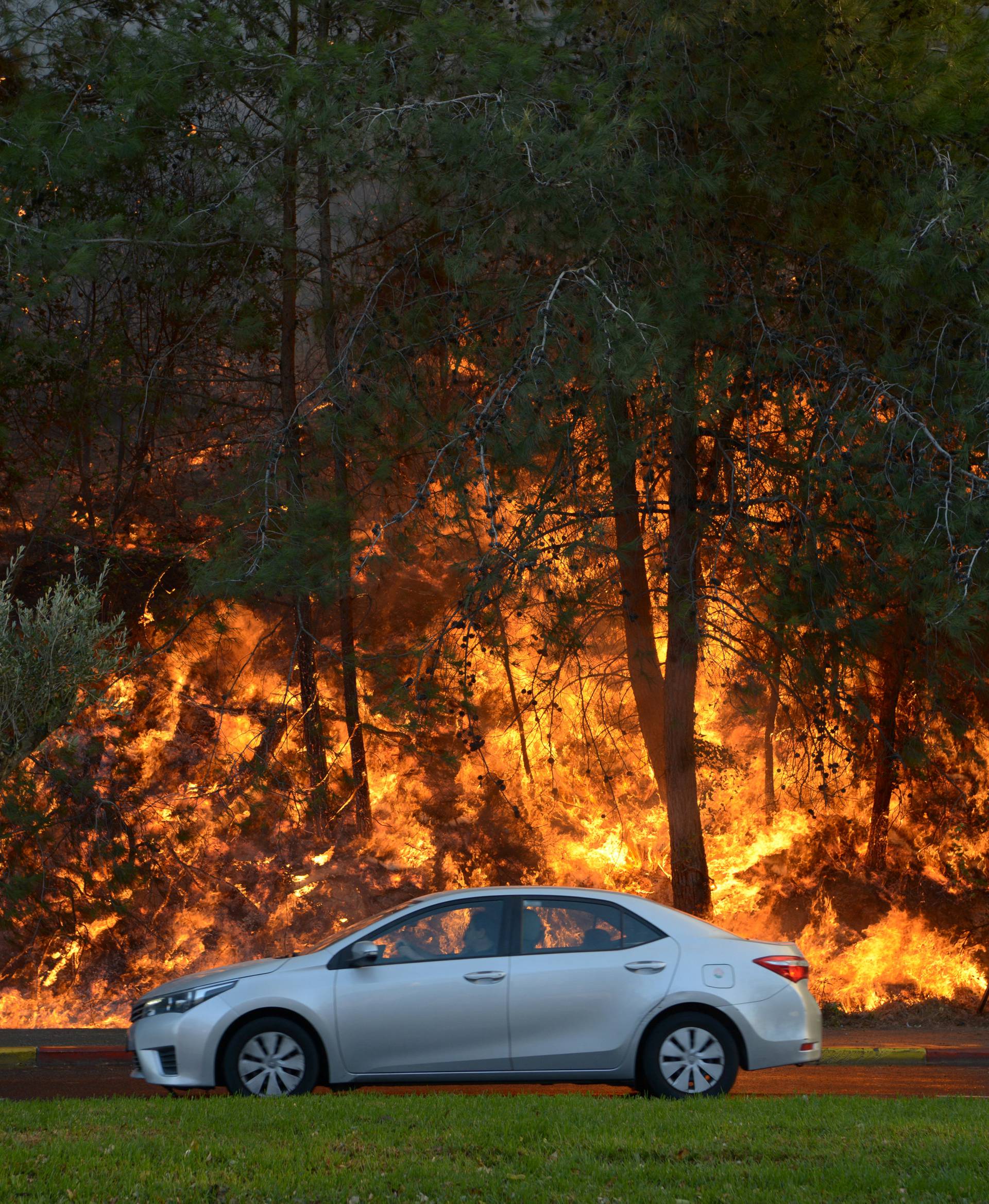 A car drives past burning trees as a wildfire rages in the northern city of Haifa, Israel 