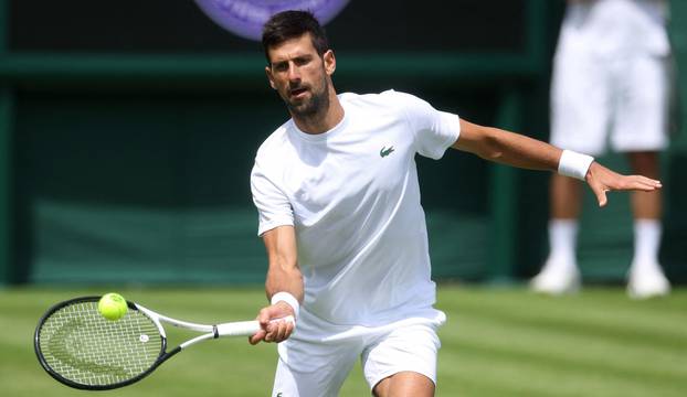 Wimbledon Preview