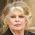 Ponovno hospitalizirali Brigitte Bardot (91) nekoliko tjedana nakon 'manje' operacije