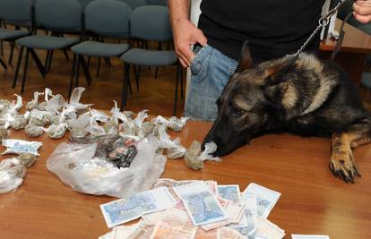 Uz pomoć policijskog psa našli 50.000 kuna i gomilu narkotika