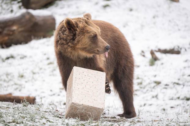 Zagreb: Podjela darova životinjama u Zoološkom vrtu
