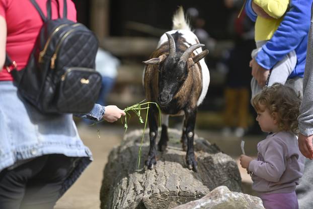 Zagreb: Podjela pisanica uz edukativni pogram za djecu u zoološkom vrtu