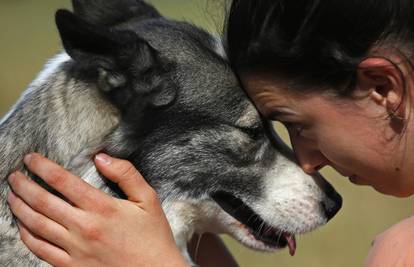 Redoviti pregledi i mekan ležaj spriječit će žuljeve kod pasa