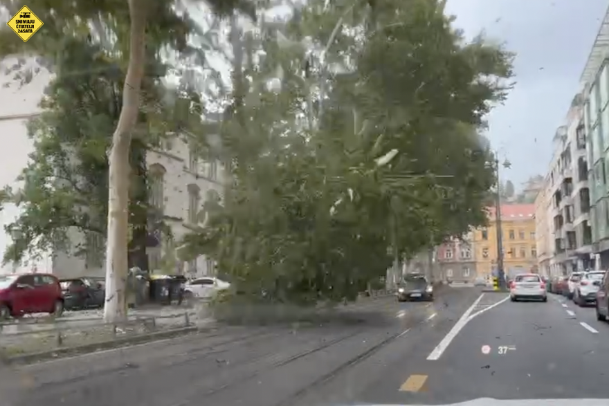 Snimka čitatelja: Nevrijeme srušilo drvo na cestu
