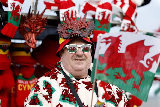 FIFA World Cup - UEFA Qualifiers - Semi Final - Wales v Bosnia and Herzegovina