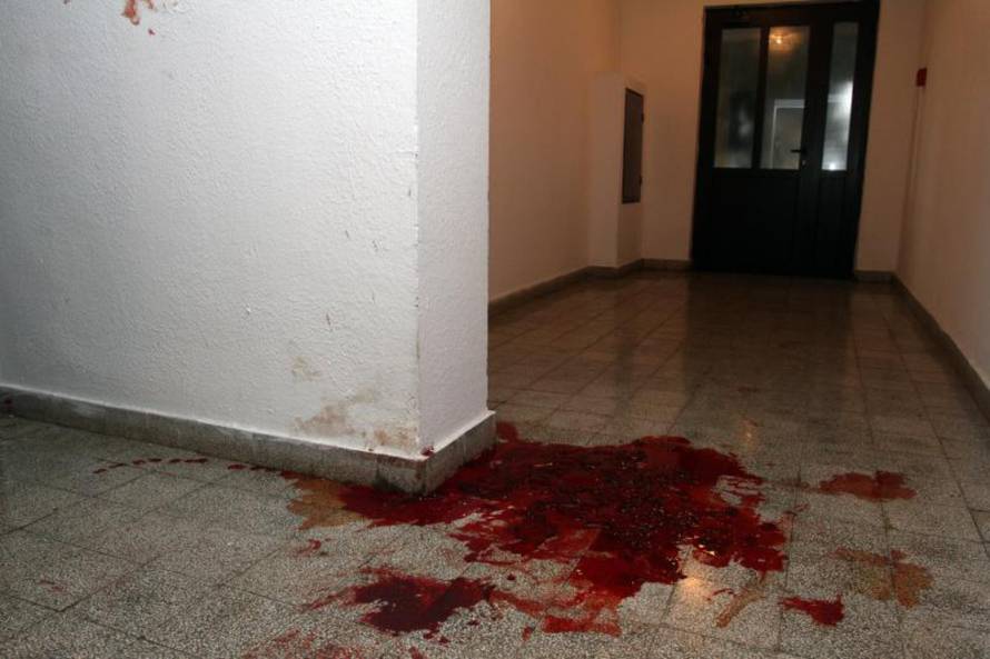 Goran Kovačić / PIXSELL