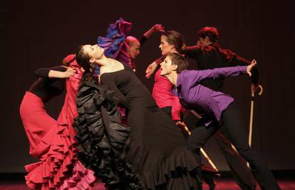 Flamenko je idealan spoj glazbe, pjesme i plesa